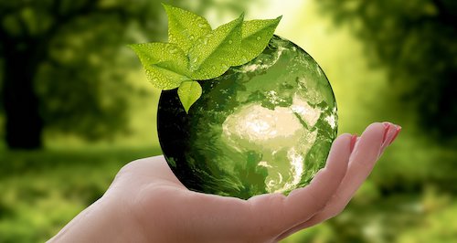 A hand cupping a green globe.