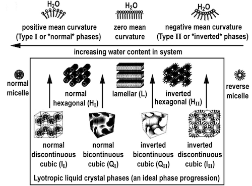 A diagram of liquid crystal phases by water content in the system.