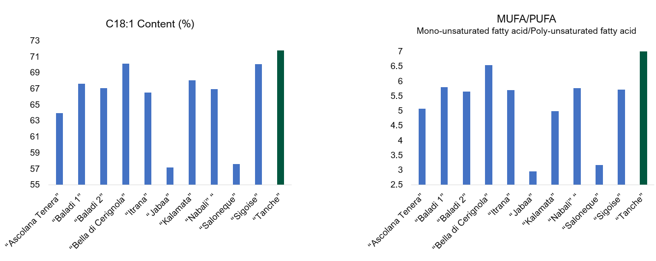 Two bar charts displaying the C18:1 content and the mono-unsaturation to poly-unsaturation ratio by olive.