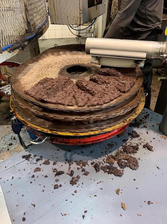 Olive paste being spread onto scourtin.