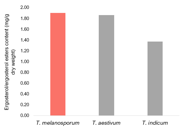 A bar chart showing the content of ergosterol/ergosterol esters by truffle.