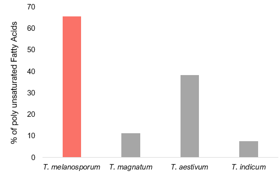 A bar chart showing the percent of polyunsaturated fatty acids by truffle.