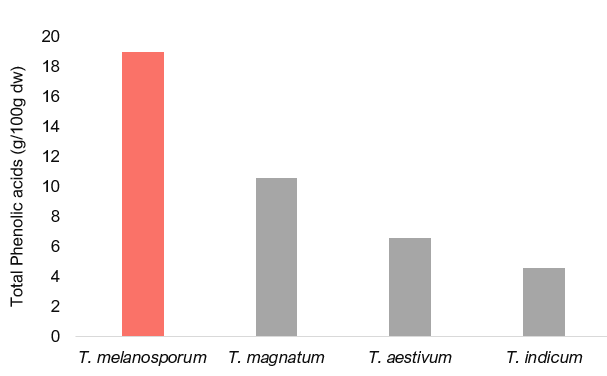 A bar chart showing total phenolic acid contents by truffle.