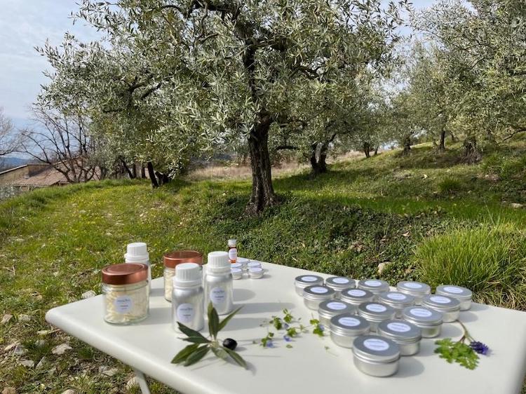 A closer shot of Proscien beauty care products sitting on a table with a grove of olive trees in the background.