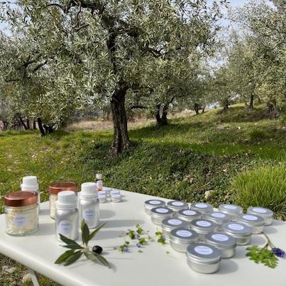 A closer shot of Proscien beauty care products sitting on a table with a grove of olive trees in the background.