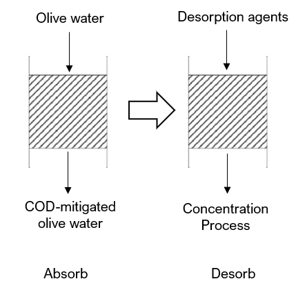 A diagram showing how the extraction techology works: olive water is transformed into COD-mitigated olive water through absorption, then desorption agents are used to concentrate the phyto-active molecules.