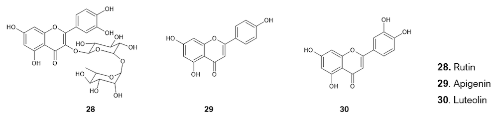 The chemical structures of major flavonoids such as rutin, apigenin, and luteolin are depicted.