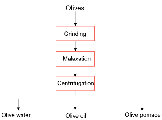 A diagram showing the olive milling process: grinding, malaxation, and centrifiguation yield olive water, oil, and pomace from olives.