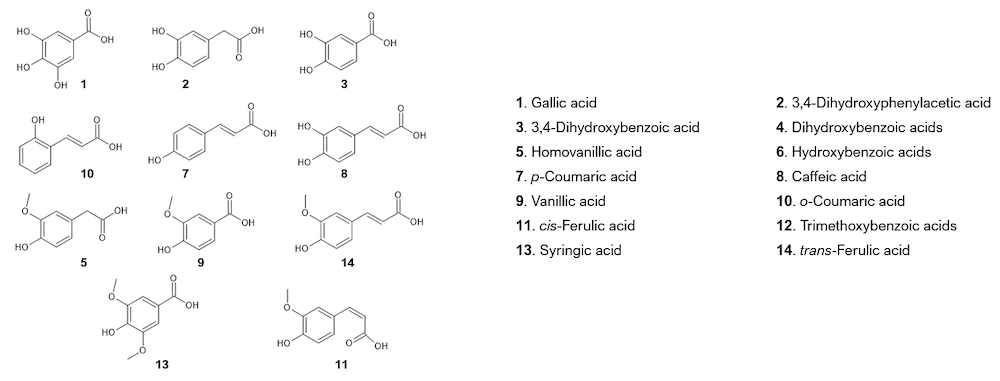 The chemical structures of major phenolic acids such as gallic acid, 3,4-dihydroxyphenylacetic acid, and trans-ferulic acid are depicted.