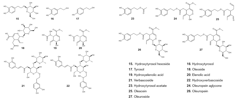 The chemical structures of phenylethanoids and secoiridoids such as hydroxytyrosol hexoside, hydroxytyrosol, and oleuroside are depicted.