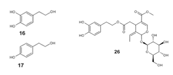 The chemical structures of oleuropein, hydroxytyrosol, and tyrosol.