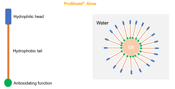 A diagram of a Proshield Aline structure, which has a hydrophilic head, a hydrophobic tail, and an antioxidating function at the end of the tail. The structures are depicted as forming an oil micelle in water.