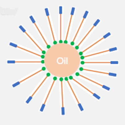 Diagram of a simple micelle.