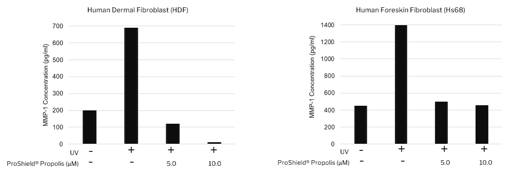 A bar graph on the left showing Proshield Propolis suppressing MMP-1 levels in HDF, and a bar graph on the right showing Proshield Propolis suppressing MMP-1 levels in Hs68.