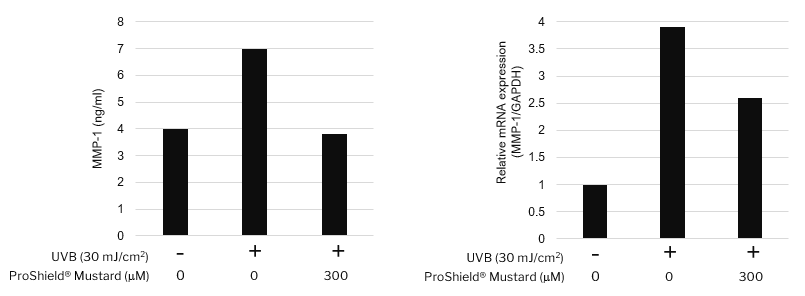 A bar graph on the left showing Proshield Mustard suppressing MMP-1 levels in Hs68, and a bar graph on the right showing Proshield Mustard suppressing MMP-1 mRNA expression levels in Hs68.