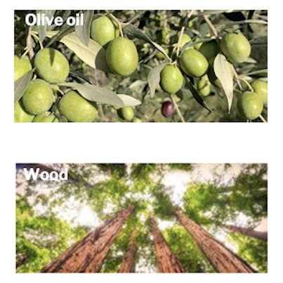 Above, a photo of green olives, labelled 'Olive oil' and below, a photo of trees in a forest, labelled 'Wood'