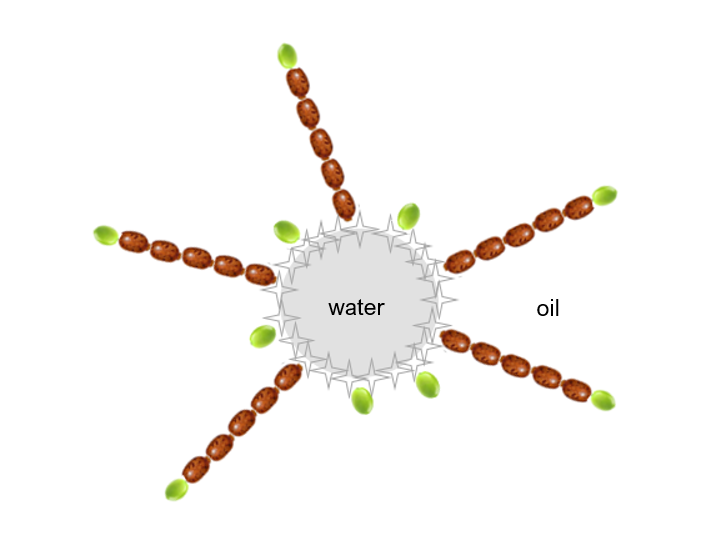 A diagram a water droplet surrounded by a layer castor/olive oil esters and polyglyceryl-6 esters. Beyond this layer of emulsifying structure is oil.