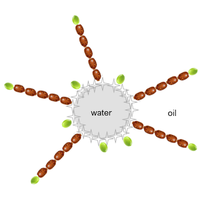 Prolive® ESP forming a layer of castor oil, olive oil, and polyglyceryl-6 structures around a water droplet